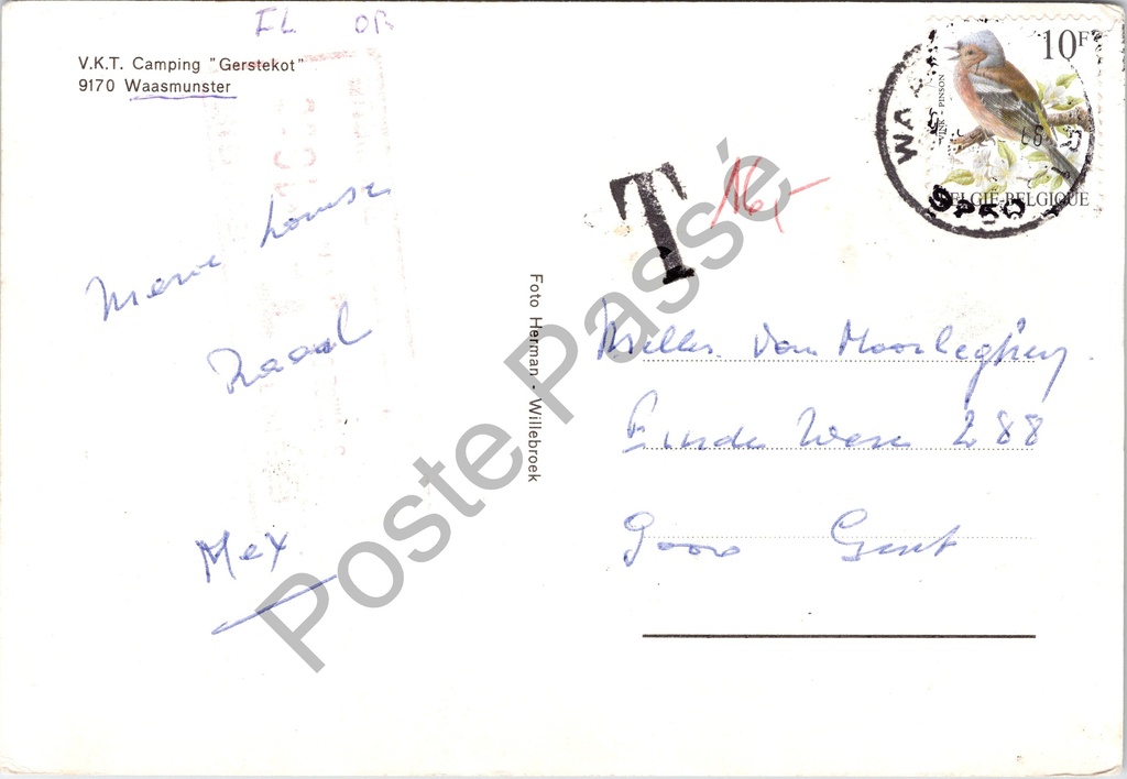 Lokeren0168