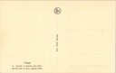 Mol0826