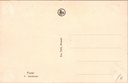 Mol0828