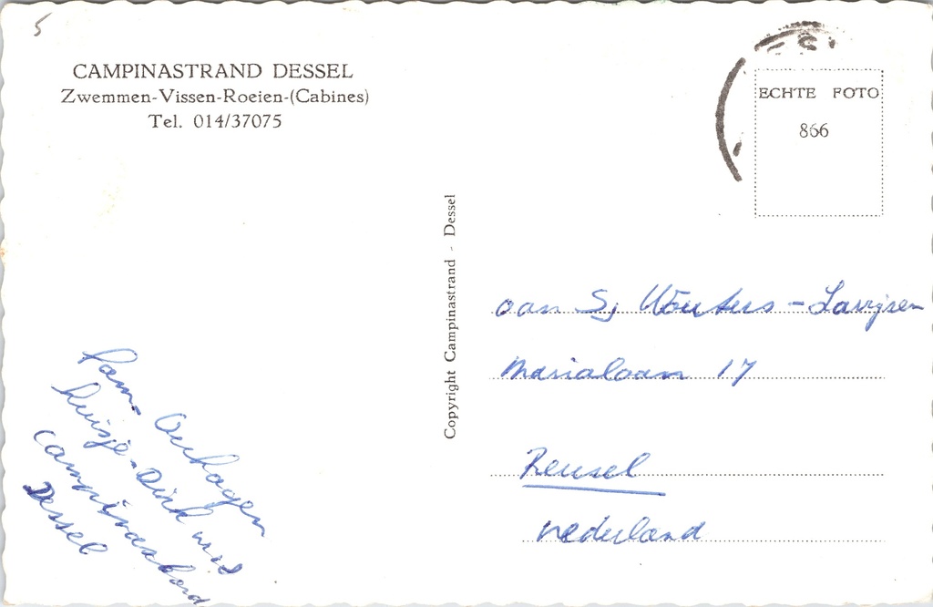 Dessel - "CAMPINASTRAND DESSEL" - Zwemstrand met meer, bomen en badgasten – achterzijde van de originele postkaart
