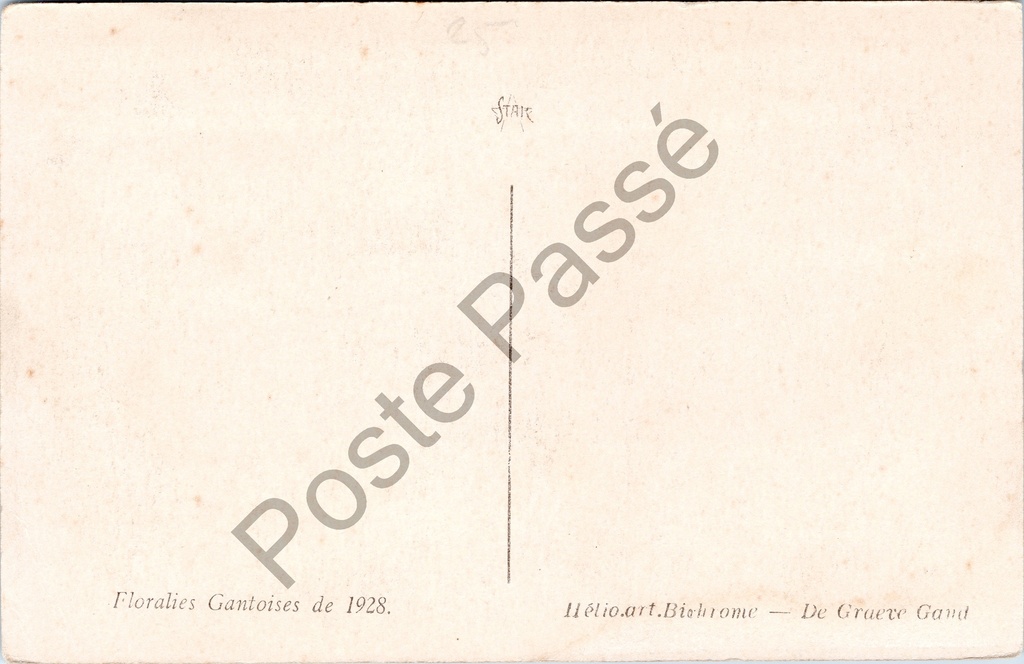 Gent - "Floralies Gantoises de 1928" - Cactusverzameling op de Gentse Floraliën 1928 – originele postkaart, afbeelding 2