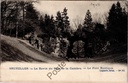 Brussel - "Le Ravin du Bois de la Cambre - Le Pont Rustique" - Ravijn van het Terkamerenbos met rustieke brug