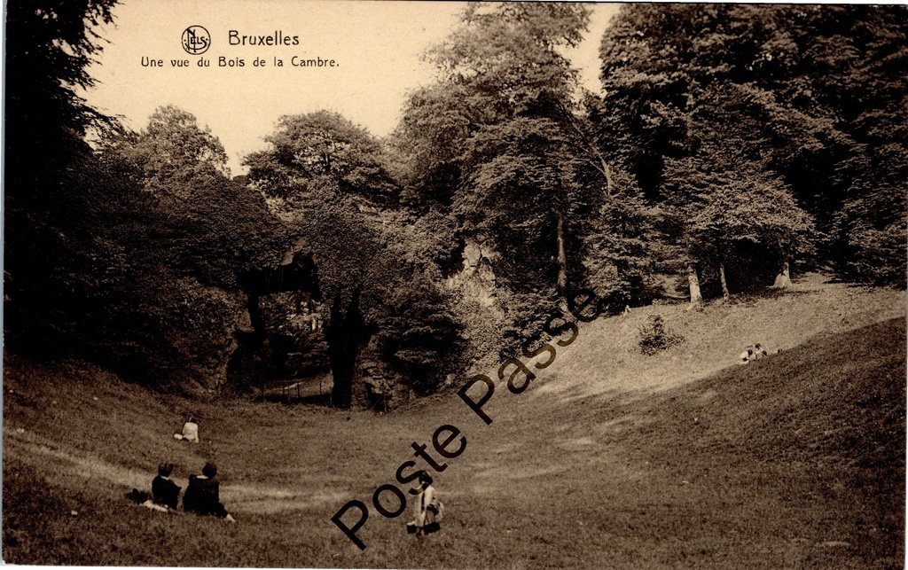 [Brussel0074] Brussel - "Une vue du Bois de la Cambre" - Zicht op het Ter Kamerenbos