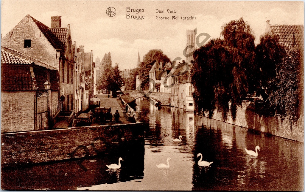 Brugge - "Quai Vert. Groene Rei (gracht)" - Zicht op de Groene Rei met zwanen