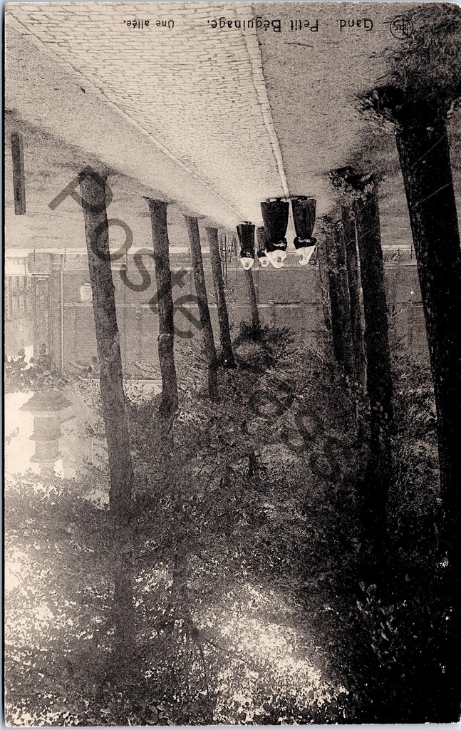 [Gent0278] Gent - "Gand - Petit Béguinage. - Une allée." - Een laan in het Klein Begijnhof