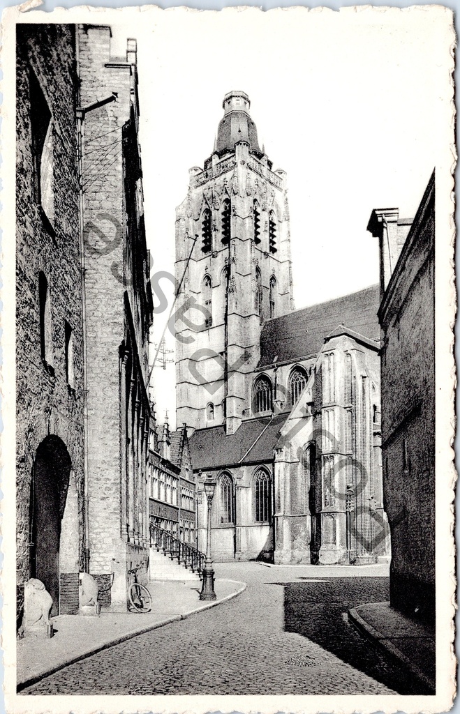 [Gent0280] Oudenaarde - "De Sinte-Walburgakerk" - Zicht op de Sinte-Walburgakerk