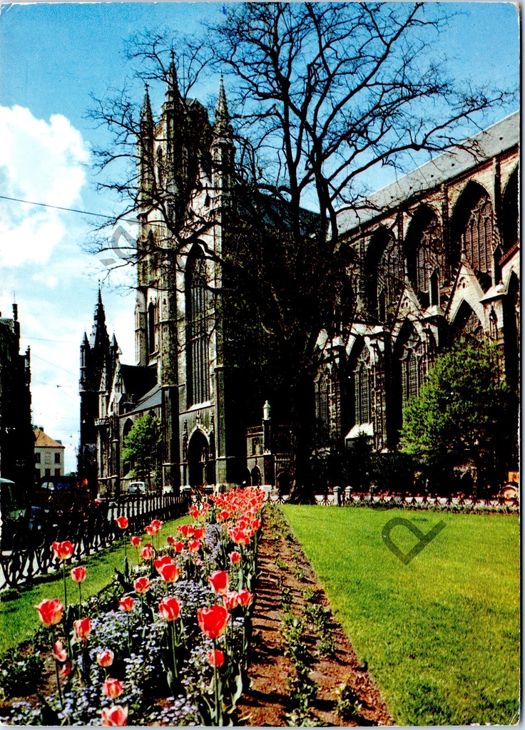 [Gent0320] Gent - "St-Baafshoofkerk en Belfort" - Sint-Baafskathedraal en Belfort