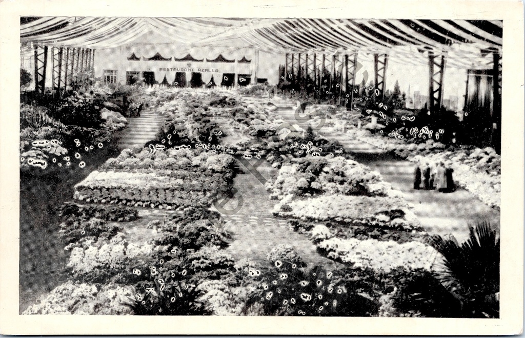 [Gent0336] Gent - "Floralies Gantoises - Gentse Floralien" - Interieur bloemententoonstelling met Restaurant Gepler