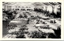 Gent - "Floralies Gantoises - Gentse Floralien" - Interieur bloemententoonstelling met Restaurant Gepler