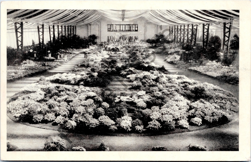 Gent - "Floralies Gantoises - Gentse Floralien" - Interieur van de bloemententoonstelling