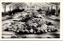 Gent - "Floralies Gantoises - Gentse Floralien" - Interieur van de bloemententoonstelling