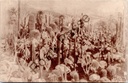 Gent - "Floralies Gantoises de 1928" - Cactusverzameling op de Gentse Floraliën 1928