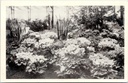 Gent - "Floralies Gantoises - Gentse Floralien" - Bloemententoonstelling Gentse Floralien