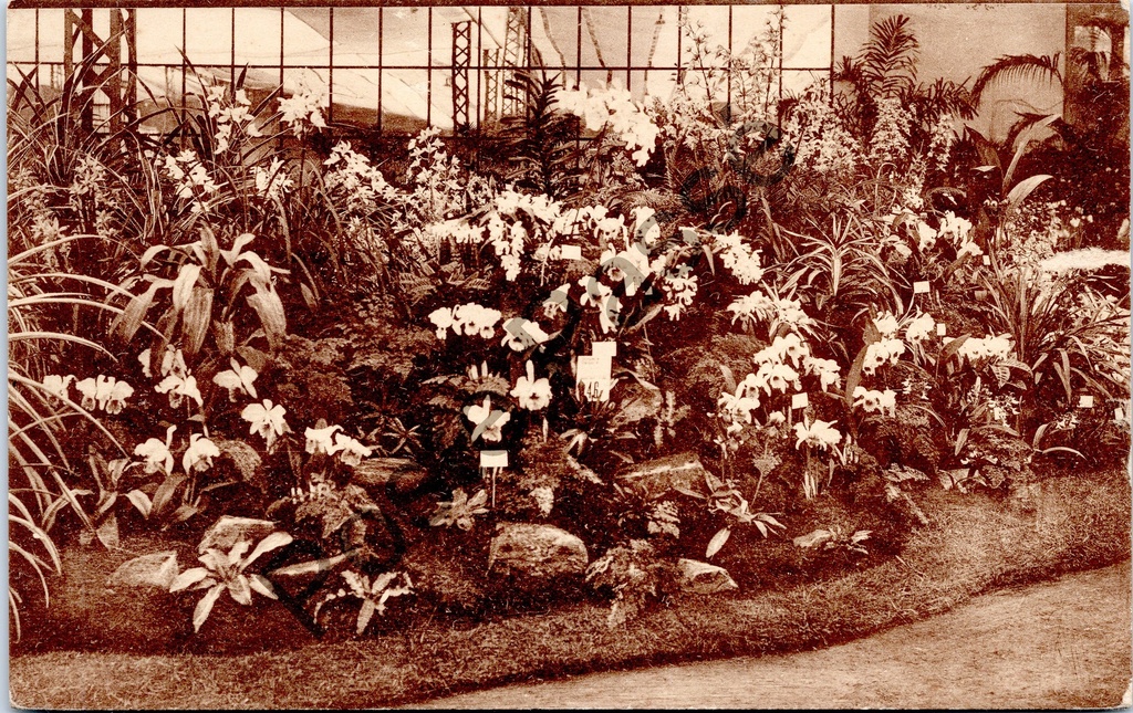 Gent - "Gentsche Floralïen 1938" - Bloemententoonstelling Gentse Floraliën 1938