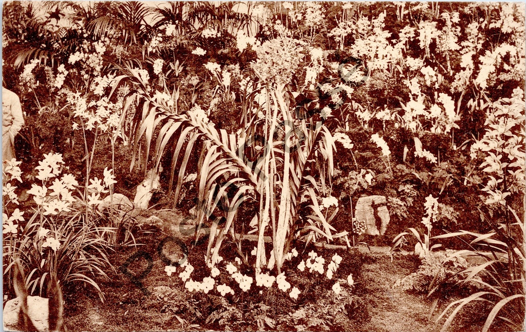 Gent - "Floralies Gantoises 1938 / Gentsche Floralïen 1938" - Bloemententoonstelling Gentse Floraliën 1938