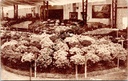 Gent - "Floralies Gantoises 1938 / Gentsche Floraliën 1938" - Bloemententoonstelling binnen met uitgebreide bloemendisplays