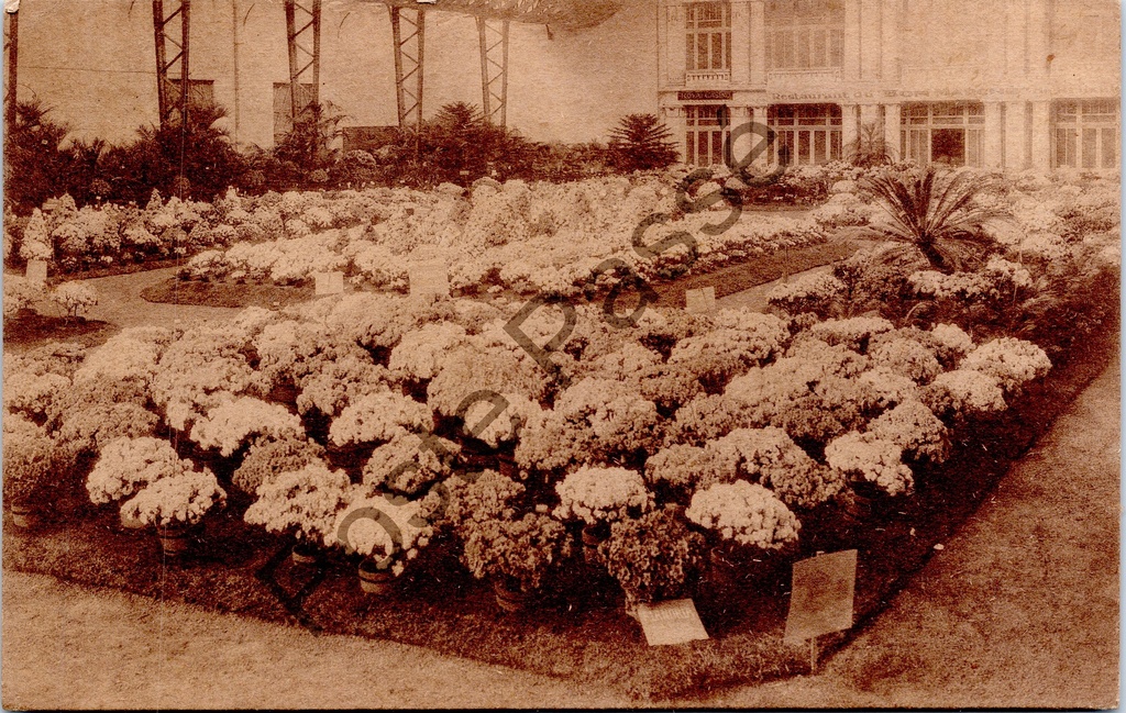 [Gent0494] Gent - "Floralies Gantoises de 1928" - Bloemententoonstelling aan het Royal Casino