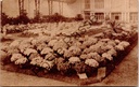 Gent - "Floralies Gantoises de 1928" - Bloemententoonstelling aan het Royal Casino