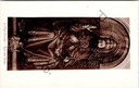 Gent - "Le Père Eternel. - God den Vader." - God de Vader, detail uit het Lam Gods (Van Eyck)