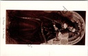 Gent - "La Vierge. - De H. Maagd." - De Heilige Maagd, detail uit het Lam Gods van Van Eyck