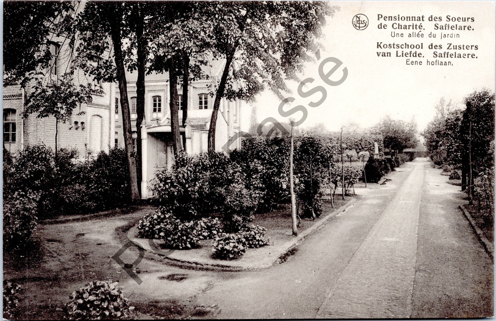 Saffelaere - "Kostschool des Zusters van Liefde. Saffelaere. Eene hoflaan." - Tuinlaan van het pensionaat der Zusters van Liefde