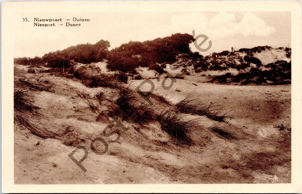 Nieuwpoort - "Nieuwpoort — Duinen / Nieuport. — Dunes" - Zandduinen aan de Belgische kust