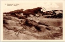 Nieuwpoort - "Nieuwpoort — Duinen / Nieuport. — Dunes" - Zandduinen aan de Belgische kust