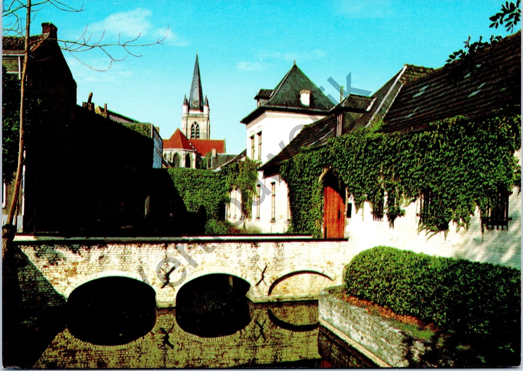 [Ronse0190] Ronse - "Vijver Cambier - Etangs Cambier" - Zicht op de Cambier-vijvers met brug en kerk