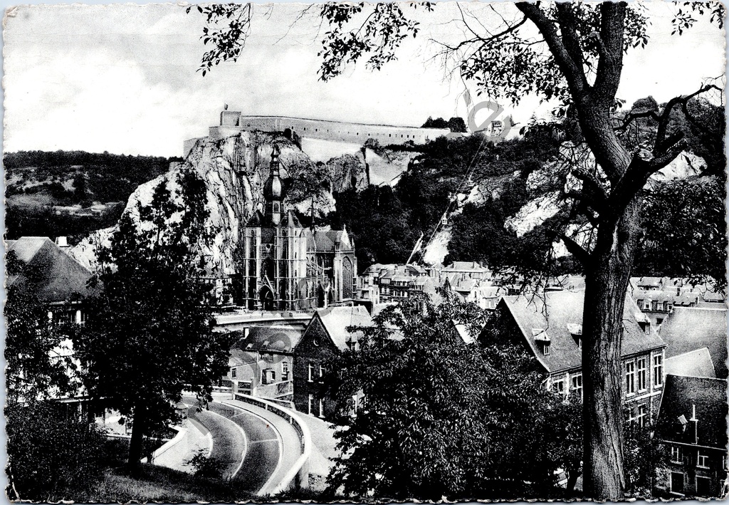 [Dinant0308] Dinant - "Panorama" - Stadspanorama met citadel en collegiale kerk