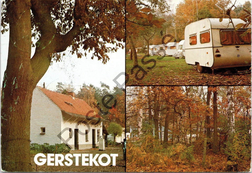 [Lokeren0168.jpg] Waasmunster - "Gerstekot" - Camping met caravans en boslandschap