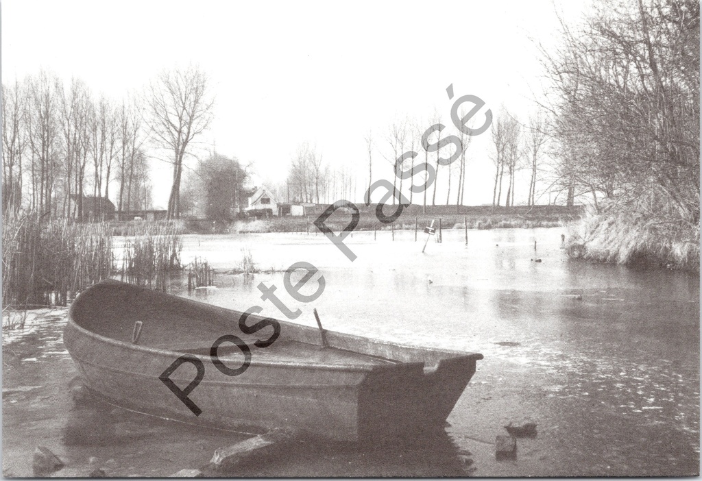 Kieldrecht - "Kleine Weel" - Winterlandschap met roeiboot op bevroren plas
