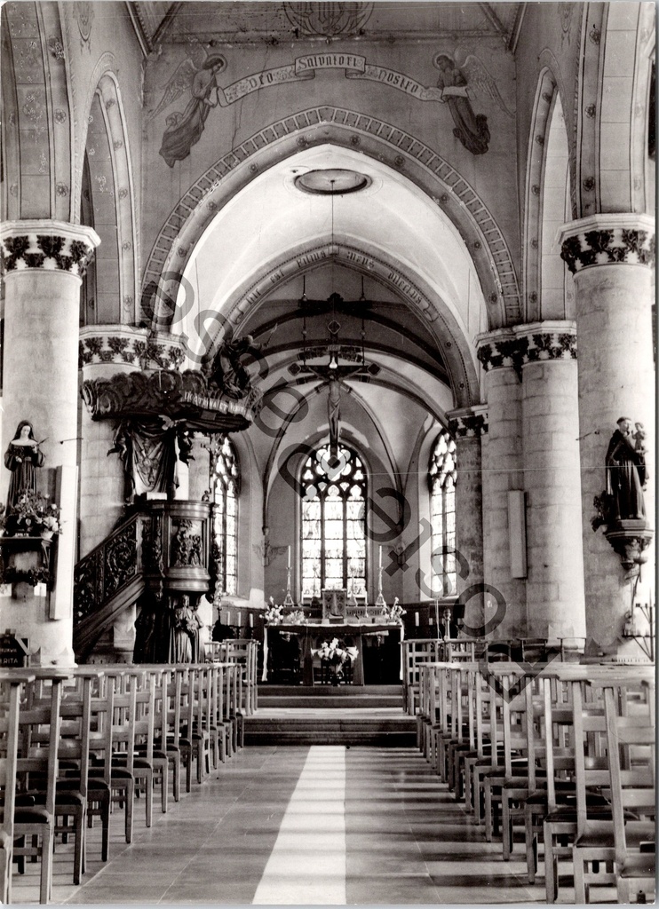 Wieze - "Kerk van Sint-Salvator - Binnenzicht" - Interieur van de Sint-Salvatorkerk