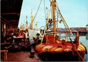 Oostende - "Vissershaven" - Lossen van de vangst aan de vismijn met trawlers