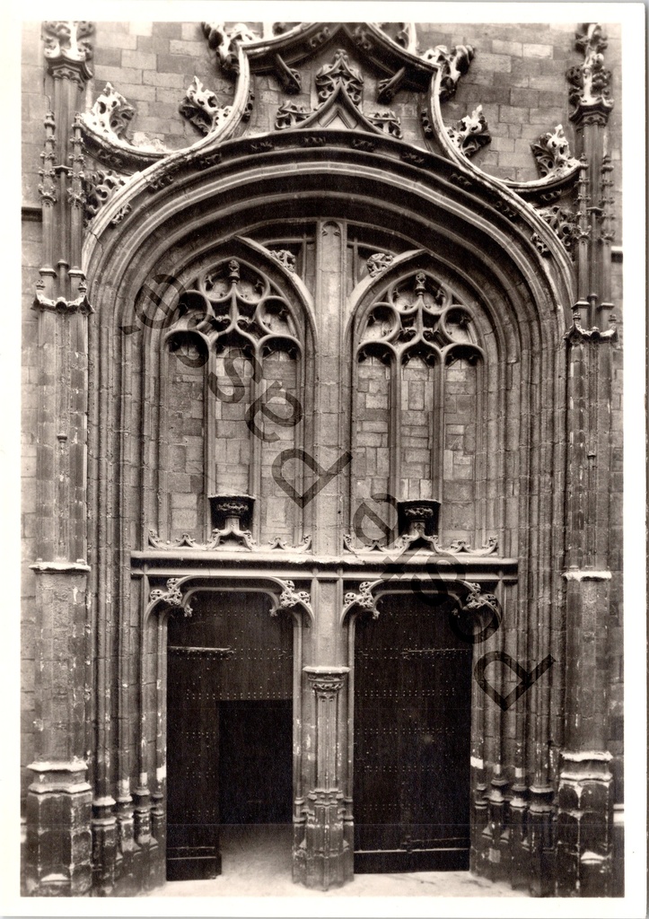 Aalst - "Sint-Martinuskerk. Portaal van het noordelijk transept." - Noordelijk transeptportaal van de Sint-Martinuskerk