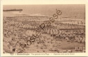 Blankenberge - "Vue générale de la Plage" - Algemeen zicht op het strand