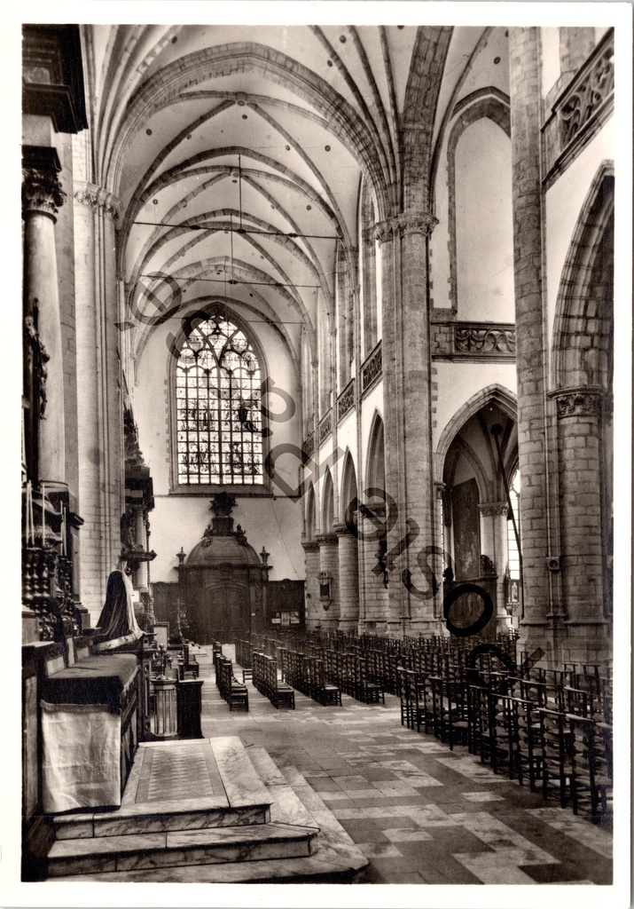 Aalst - "Sint-Martinuskerk" - Interieur zuidelijk transept richting zuidwesten