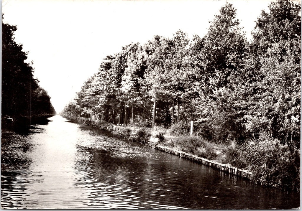 [Postel0839] Retie – “Postel ter Heyde” – Canal through woodland near a rehabilitation centre