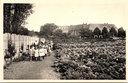 Ravels - "O.L. Vrouw van de Kempen" - Open-luchtschool voor zwakke meisjes, wandeling door de moestuin