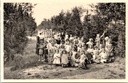 Ravels - "O.L. Vrouw van de Kempen" - Open-luchtschool voor zwakke meisjes, dreef in het park
