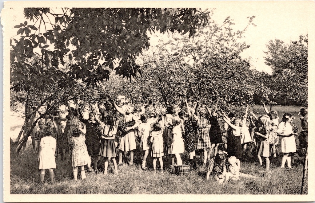 [Ravels0913] Ravels - "O.L. Vrouw van de Kempen" - Open-luchtschool voor meisjes, fruitplukken in de boomgaard