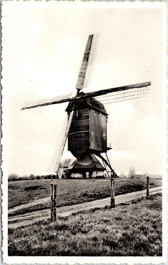 [Meerhout0931] Meerhout - "Windmolen Weversberg" - Houten stellingmolen op de Weversberg