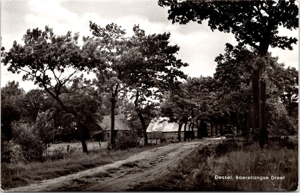 [Dessel0953] Dessel - "Boeretangse Dreef" - Landweg met boerderijen en bomen
