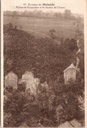 Malmedy - "Ruines de Renarstène et le chemin de Cheneu" - Ruïnes van Renarstène en de weg naar Cheneu