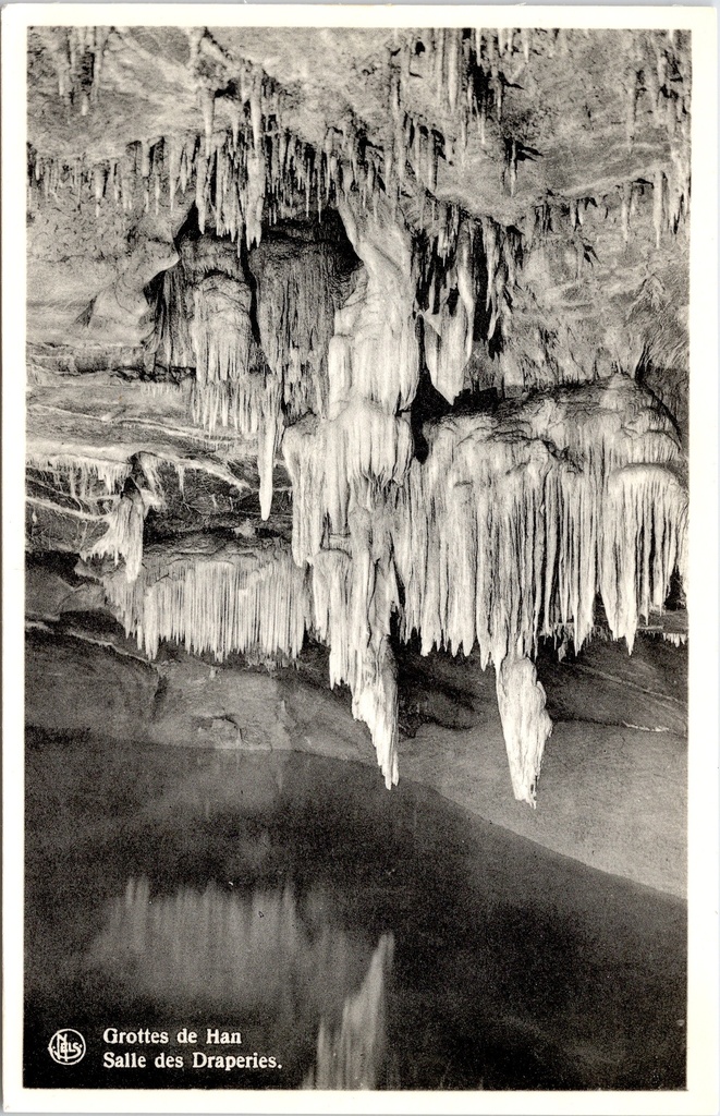 [Rochefort1411] Rochefort - "Grottes de Han - Salle des Draperies" - Grotten van Han, Draperie-zaal met stalactieten