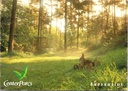 Peer - "ERPERHEIDE" - Center Parcs bungalowpark met konijnen in het bos