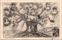 Brussel - "Arbre Généalogique de la Dynastie Belge" - Genealogische stamboom van de Belgische dynastie 1910