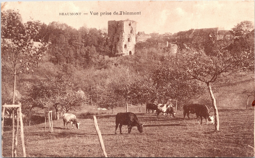 Beaumont - "Vue prise de Thinmont" - Zicht op de kasteelruïnes vanuit Thinmont met grazende koeien