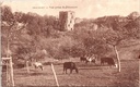 Beaumont - "Vue prise de Thinmont" - Zicht op de kasteelruïnes vanuit Thinmont met grazende koeien