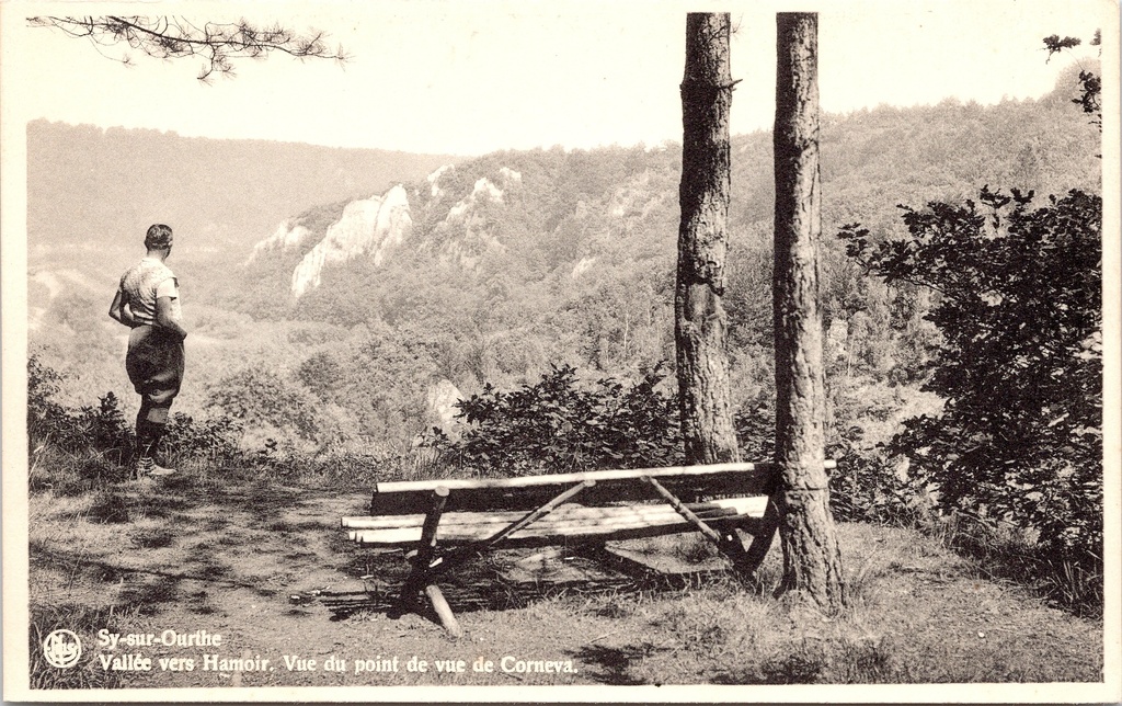 Ferrières - "Vallée vers Hamoir. Vue du point de vue de Corneva" - Uitzicht op de Ourthevallei richting Hamoir
