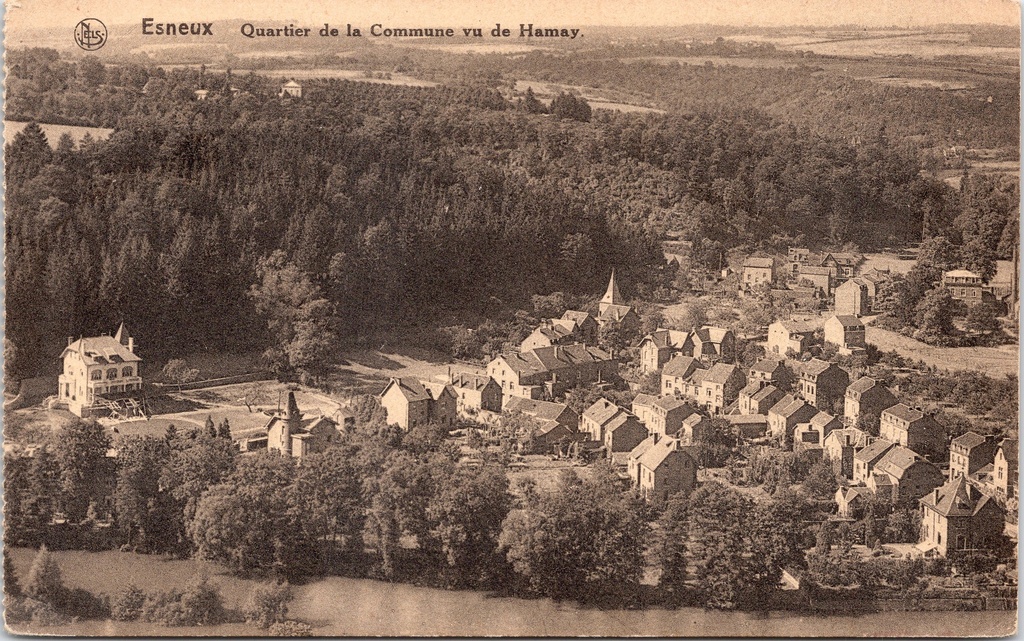 [D1795] Esneux - "Quartier de la Commune vu de Hamay" - Panoramisch zicht op de gemeente vanuit Hamay